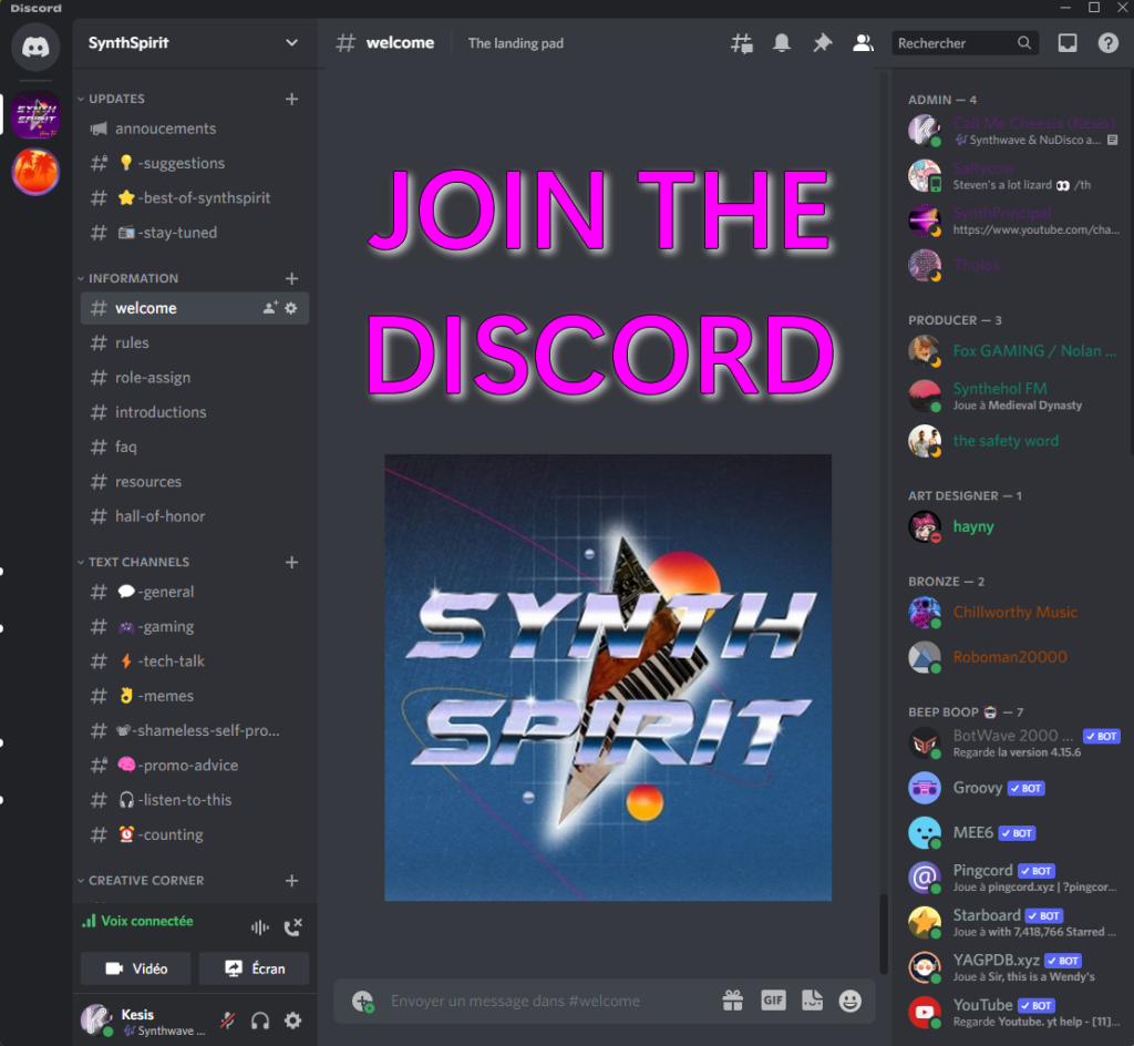 Synth Spirit Discord picture